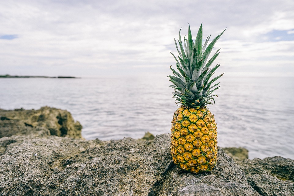 pineapple, bromelain, speed up recovery